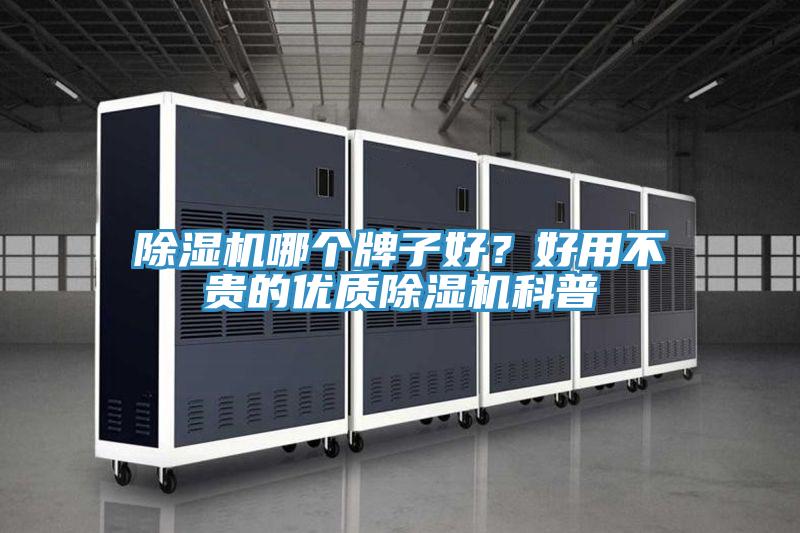 香蕉视频国产哪個牌子好？好用不貴的優質香蕉视频国产科普