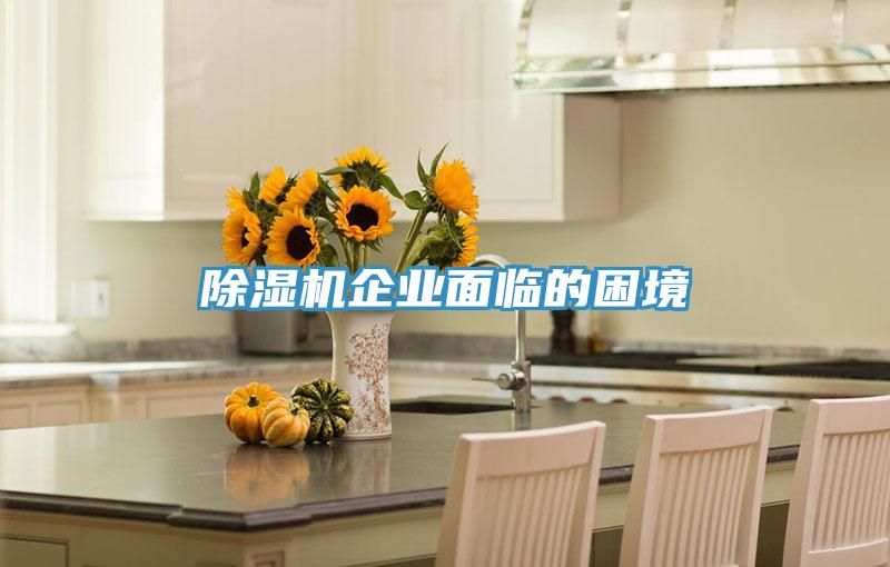 香蕉视频国产企業麵臨的困境