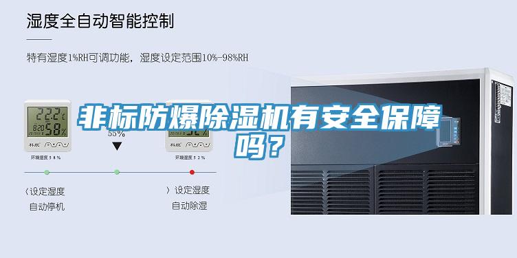 非標防爆香蕉视频国产有安全保障嗎？
