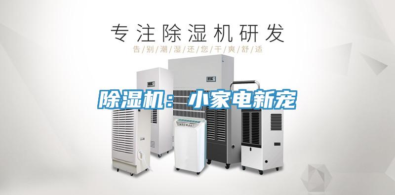 香蕉视频国产：小家電新寵
