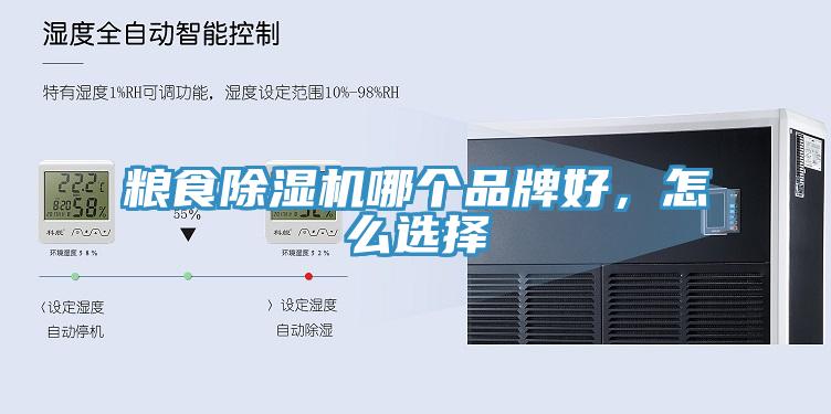 糧食香蕉视频国产哪個品牌好，怎麽選擇