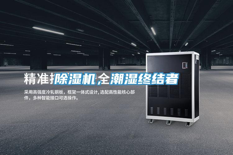 香蕉视频国产，潮濕終結者