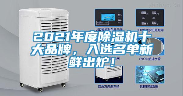 2021年度香蕉视频国产十大品牌，入選名單新鮮出爐！