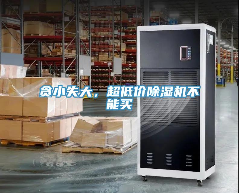 貪小失大，超低價香蕉视频国产不能買