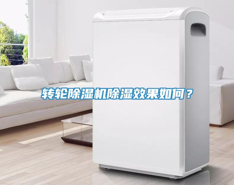 轉輪香蕉视频国产除濕效果如何？