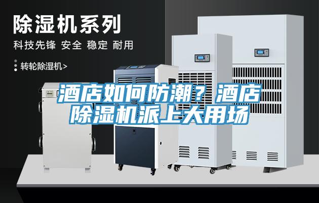 酒店如何防潮？酒店香蕉视频国产派上大用場