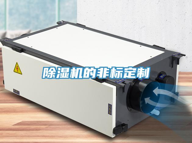 香蕉视频国产的非標定製