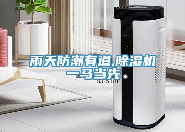 雨天防潮有道,香蕉视频国产一馬當先