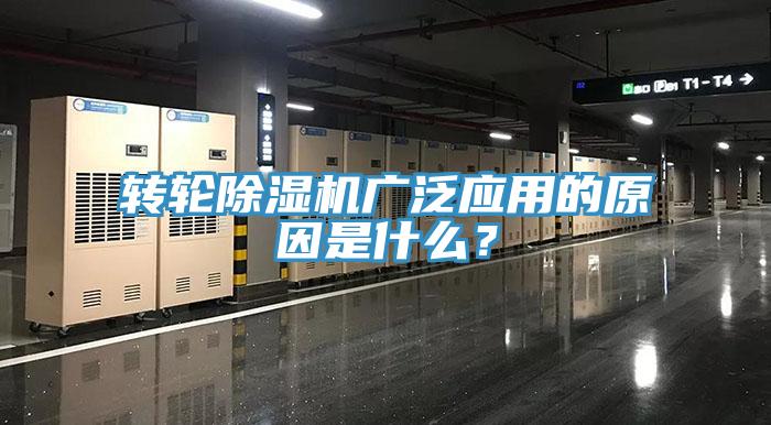 轉輪香蕉视频国产廣泛應用的原因是什麽？