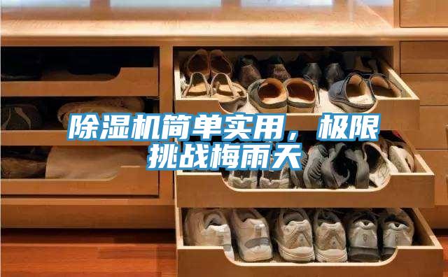 香蕉视频国产簡單實用，極限挑戰梅雨天
