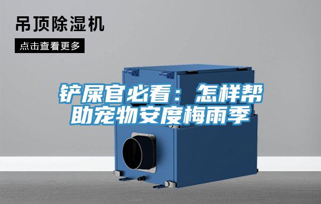鏟屎官必看：怎樣幫助寵物安度梅雨季