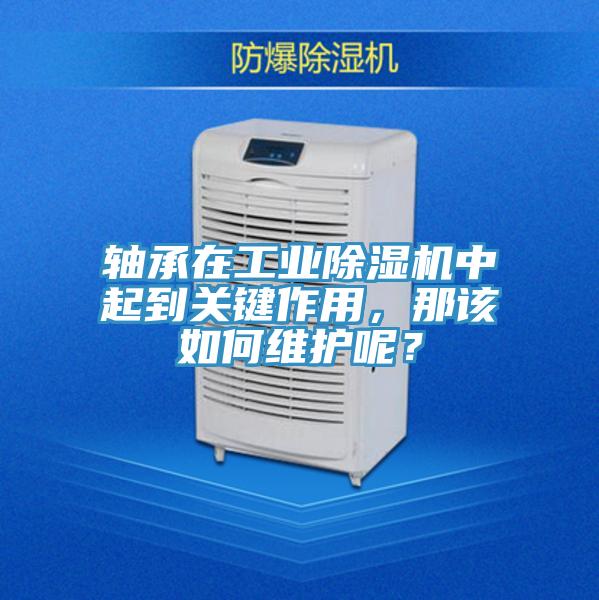 軸承在工業香蕉视频国产中起到關鍵作用，那該如何維護呢？