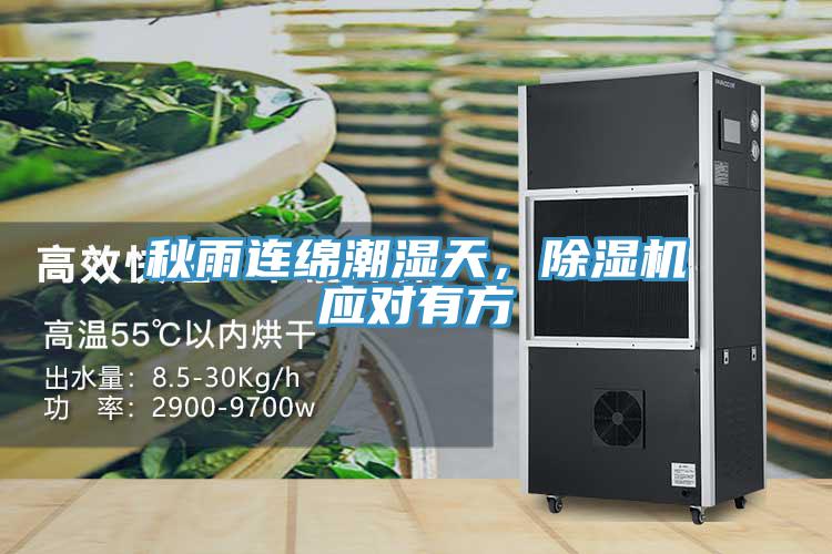 秋雨連綿潮濕天，香蕉视频国产應對有方