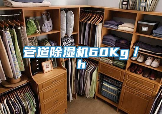 管道香蕉视频国产60Kg／h