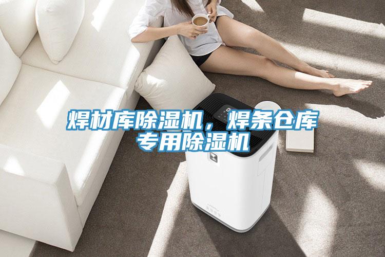 焊材庫香蕉视频国产，焊條倉庫專用香蕉视频国产