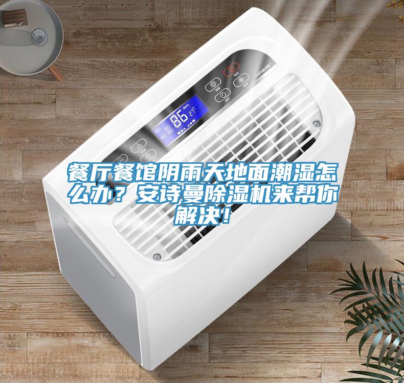餐廳餐館陰雨天地麵潮濕怎麽辦？大香蕉性爱网香蕉视频国产來幫你解決！