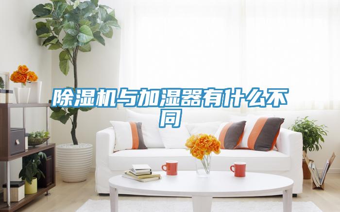 香蕉视频国产與加濕器有什麽不同