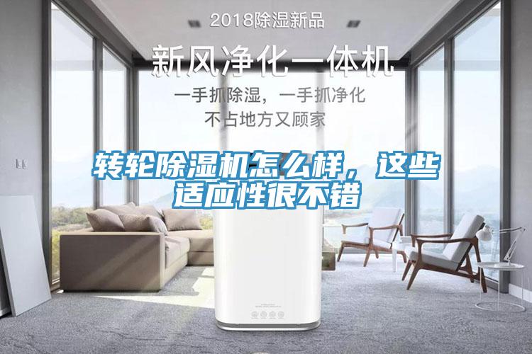 轉輪香蕉视频国产怎麽樣，這些適應性很不錯