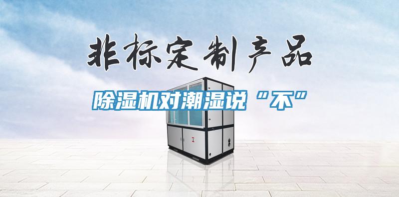 香蕉视频国产對潮濕說“不”