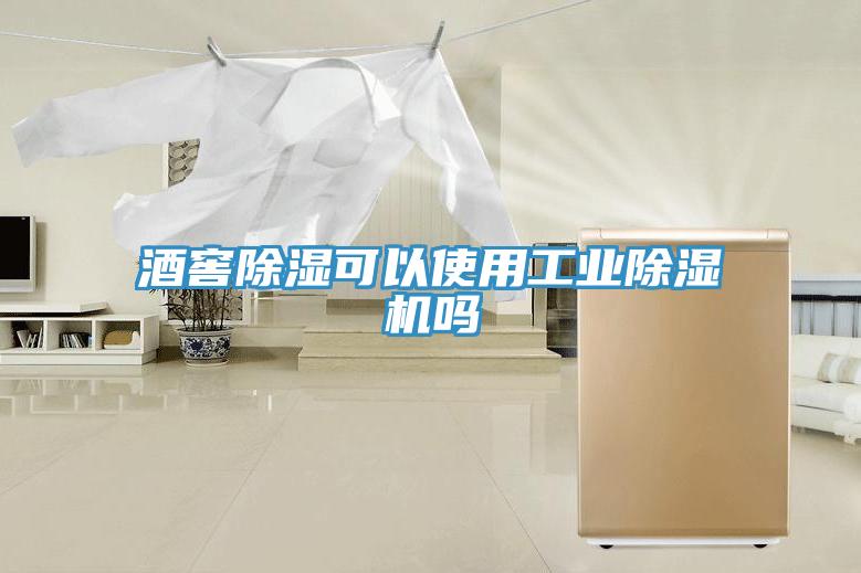酒窖除濕可以使用工業香蕉视频国产嗎