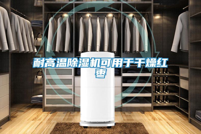 耐高溫香蕉视频国产可用於幹燥紅棗