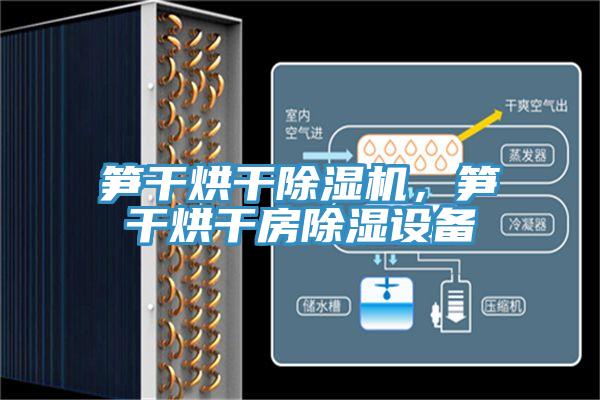 筍幹烘幹香蕉视频国产，筍幹烘幹房除濕設備