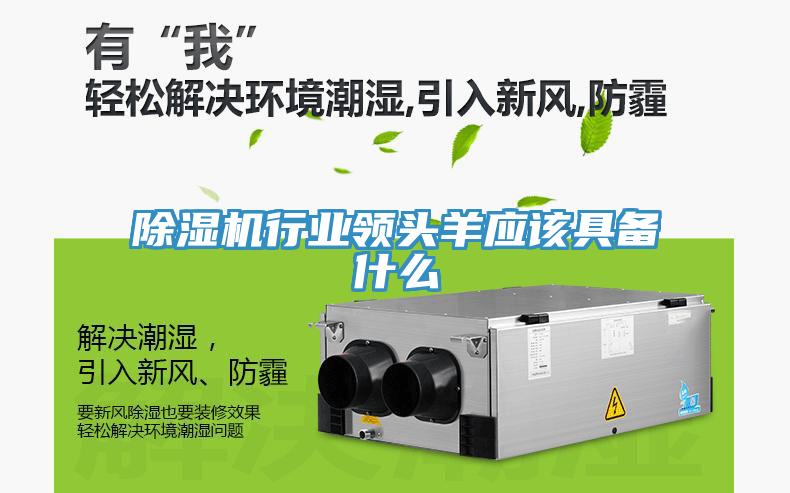 香蕉视频国产行業領頭羊應該具備什麽