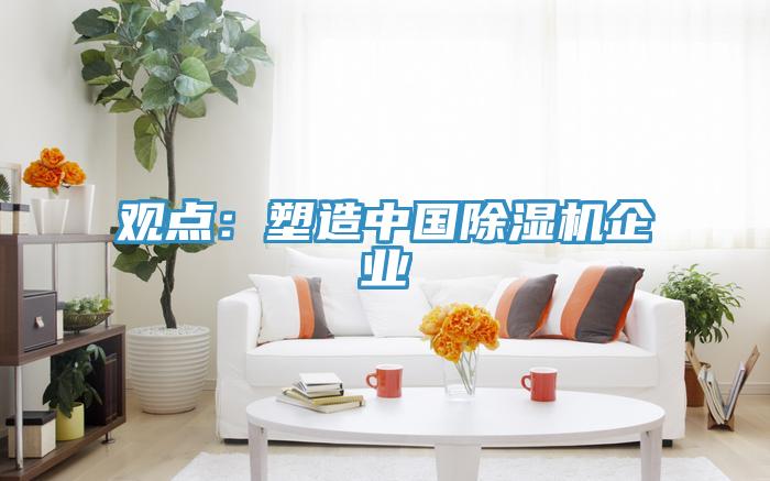 觀點：塑造中國香蕉视频国产企業