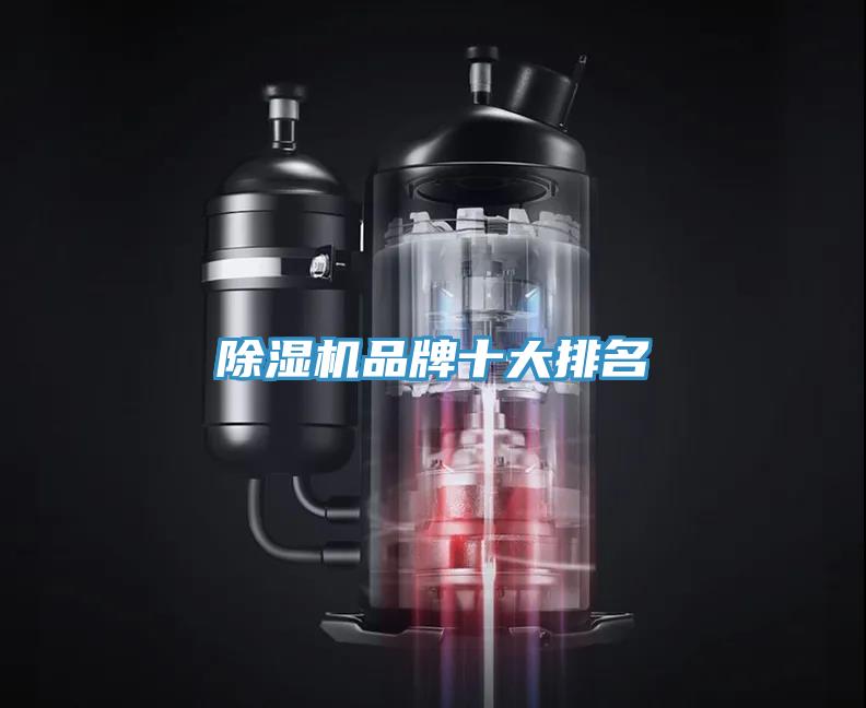 香蕉视频国产品牌十大排名