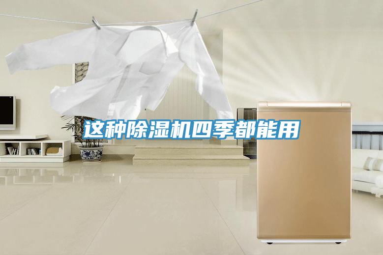 這種香蕉视频国产四季都能用