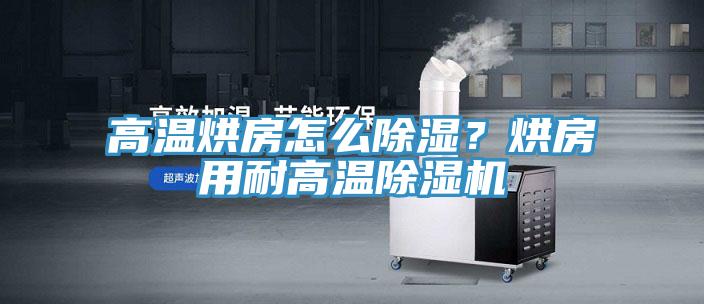 高溫烘房怎麽除濕？烘房用耐高溫香蕉视频国产