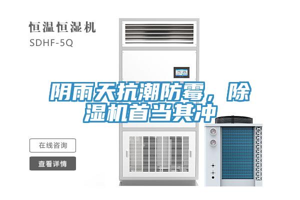 陰雨天抗潮防黴，香蕉视频国产首當其衝