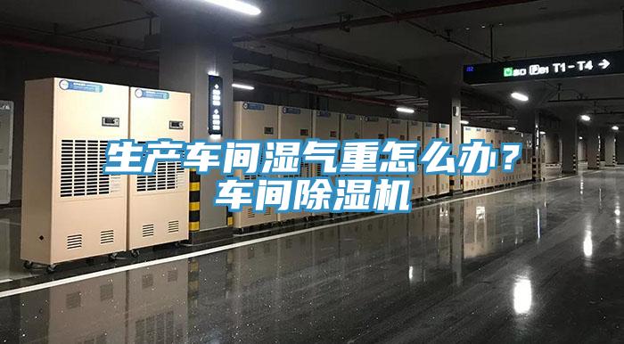 生產車間濕氣重怎麽辦？車間香蕉视频国产