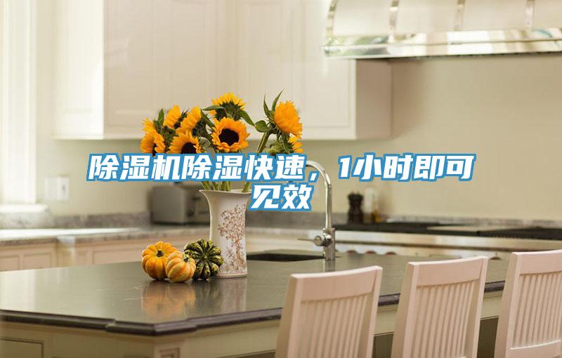 香蕉视频国产除濕快速，1小時即可見效