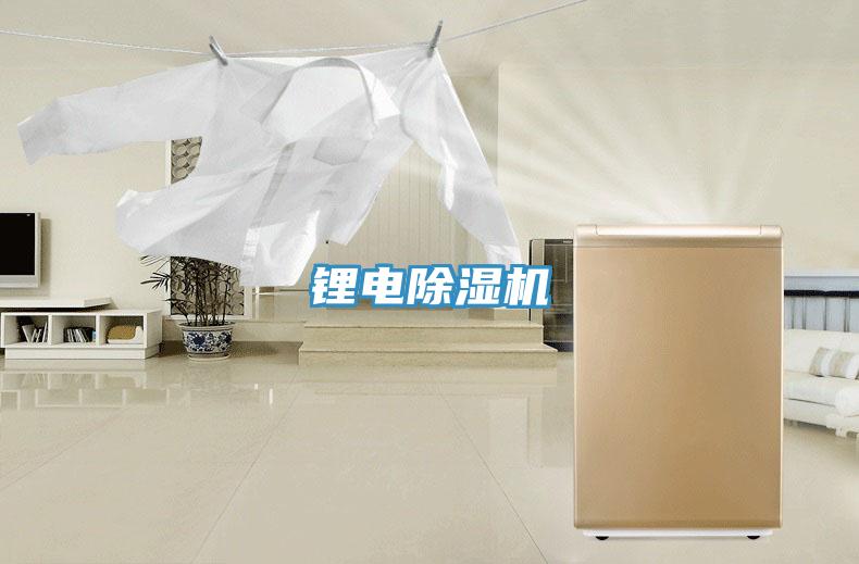 鋰電香蕉视频国产