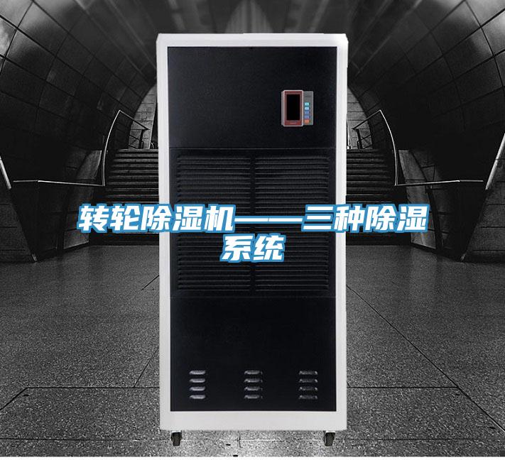 轉輪香蕉视频国产——三種除濕係統