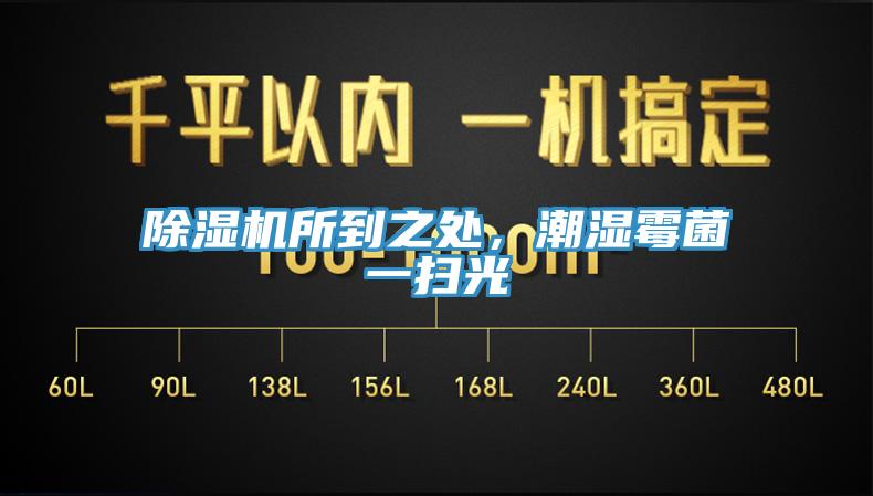 香蕉视频国产所到之處，潮濕黴菌一掃光
