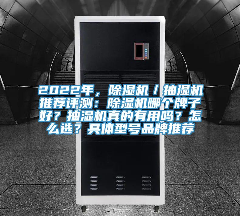 2022年，香蕉视频国产／抽濕機推薦評測：香蕉视频国产哪個牌子好？抽濕機真的有用嗎？怎麽選？具體型號品牌推薦