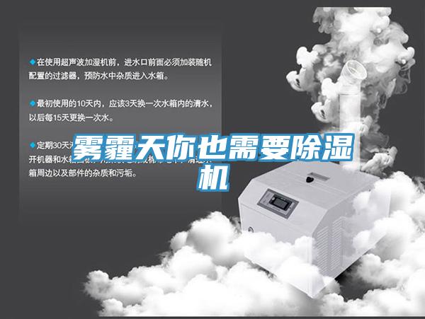 霧霾天你也需要香蕉视频国产