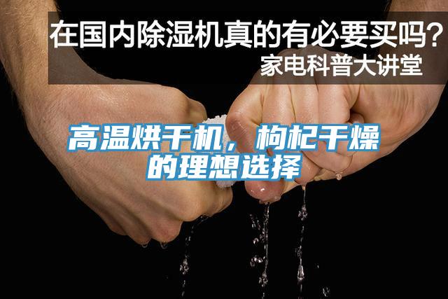 高溫烘幹機，枸杞幹燥的理想選擇