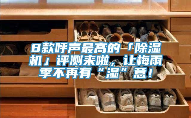 8款呼聲最高的「香蕉视频国产」評測來啦，讓梅雨季不再有“濕”意！