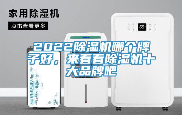 2022香蕉视频国产哪個牌子好，來看看香蕉视频国产十大品牌吧