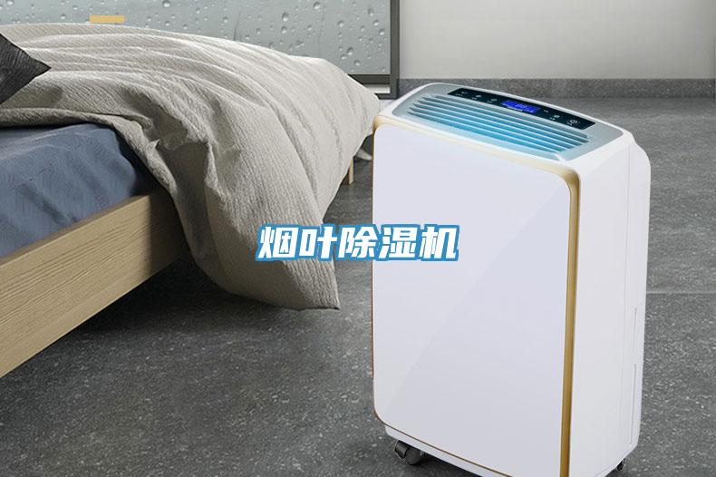 煙葉香蕉视频国产