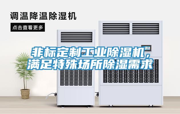 非標定製工業香蕉视频国产，滿足特殊場所除濕需求