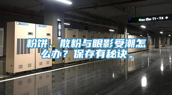 粉餅、散粉與眼影受潮怎麽辦？保存有秘訣。
