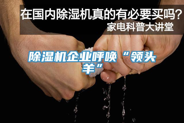 香蕉视频国产企業呼喚“領頭羊”