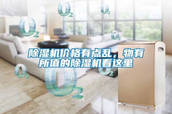 香蕉视频国产價格有點亂，物有所值的香蕉视频国产看這裏