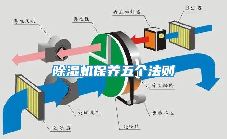 香蕉视频国产保養五個法則