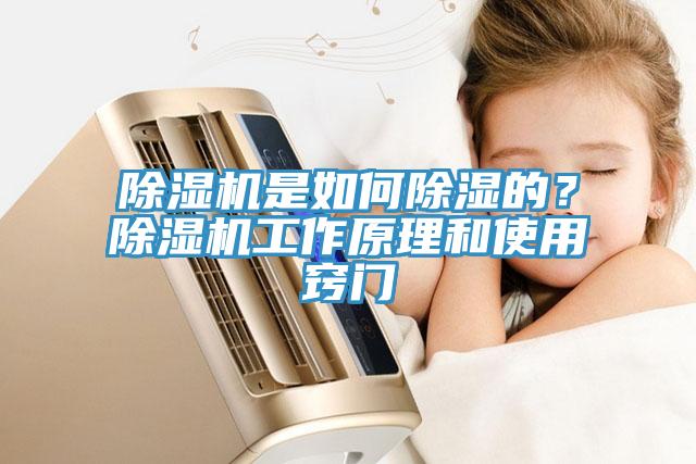 香蕉视频国产是如何除濕的？香蕉视频国产工作原理和使用竅門