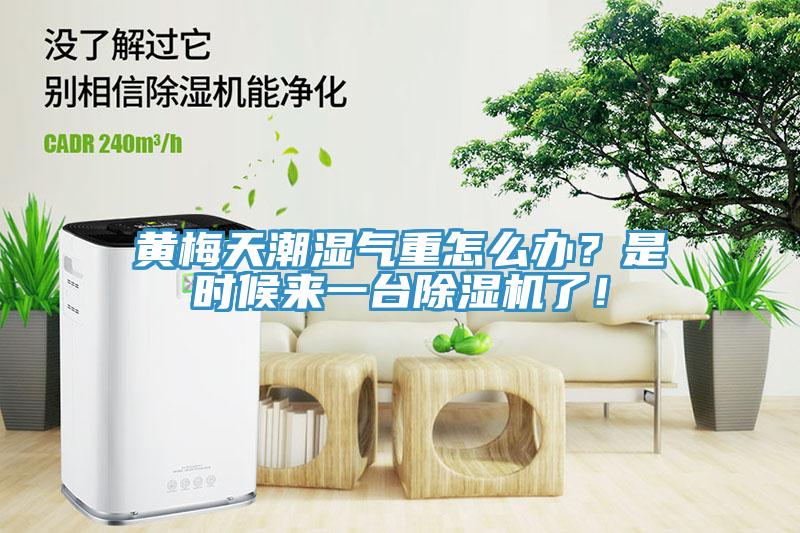 黃梅天潮濕氣重怎麽辦？是時候來一台香蕉视频国产了！